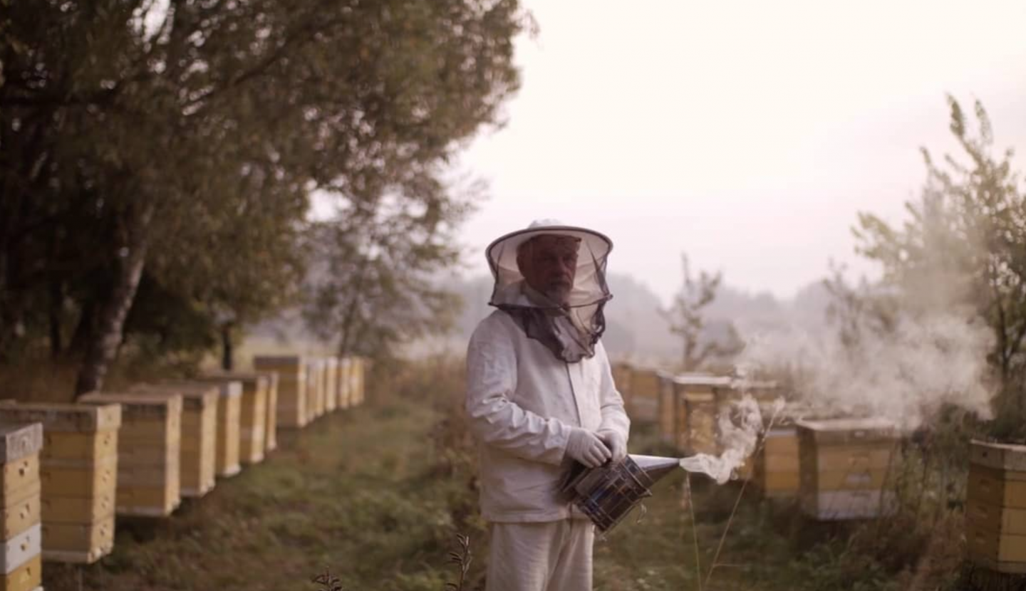 National Geographic x Citroen: Pszczoły 
